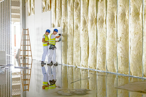 Best Insulation Installation Services in Honaker, VA